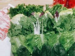 -清真军邺·金富苑肥牛(石坡街旗舰店)