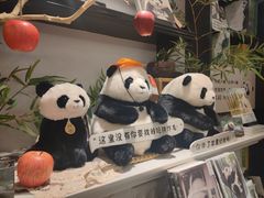 -轩客会(熊猫书店)