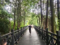 -海珠湖公园