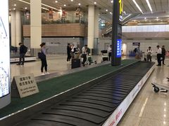 -上海浦东国际机场-T2航站楼