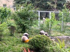 -西安秦岭野生动物园