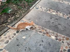 -御龙温泉度假村