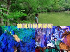 -灵栖洞天