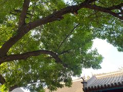 -张学良旧居陈列馆
