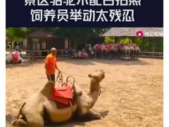 -古柏渡飞黄旅游区