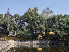 -阿育王寺