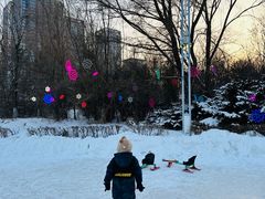 -沈阳奥体冰雪嘉年华