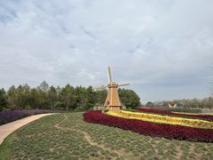 -金卉庄园