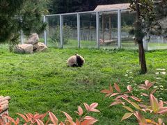 -西安秦岭野生动物园