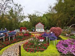 -深圳仙湖植物园