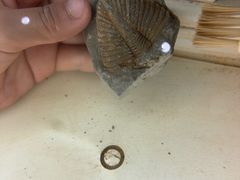 -房山世界地质公园博物馆