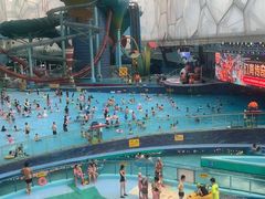-水立方嬉水乐园