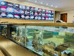 -龙悦湾酒家·八阵鱼生·渔人码头店