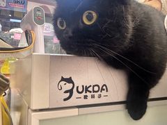 -FAELING PETS美天灵宠物(富力广场店)