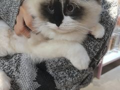 -FAELING PETS美天灵宠物(富力广场店)
