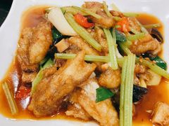 红烧九肚鱼-潮州菜馆(十里河店)