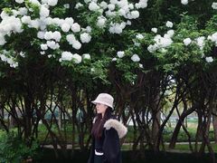 -蠡湖大桥公园
