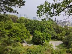 -金鸡山公园