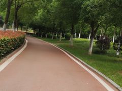 -汉江湾体育公园