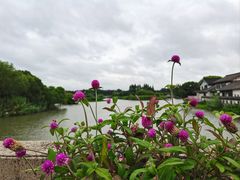 -沙家浜风景区