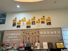 -格蕾宠物医院24H·猫科·肿瘤科·骨科中心(福州总院)