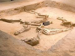 -洛阳周王城天子驾六博物馆