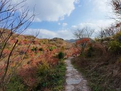 -四明山国家森林公园
