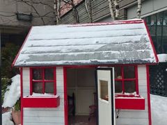 -世界之窗阿尔卑斯冰雪世界