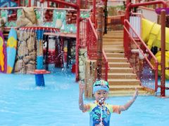-海合安成都极地海洋公园