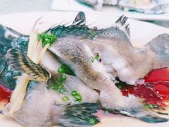 石斑鱼清蒸-四川小胡子海鲜(丁村万人海鲜广场店)