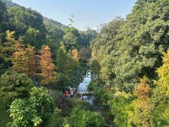 -云溪植物园