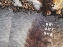-万象影城(石家庄万象城IMAX激光店)