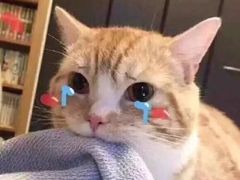 -京朋串屋·烧烤(望京西路总店)