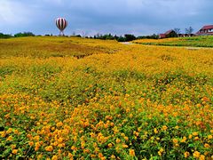 -歌斐颂巧克力小镇