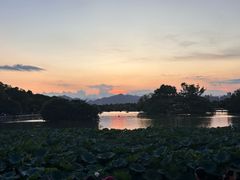-江心屿景区