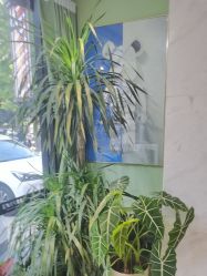 -木北护肤造型