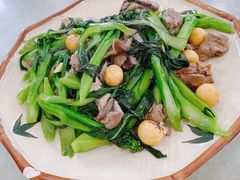 鸡什炒菜心-区海鸡场饭店(石壁店)