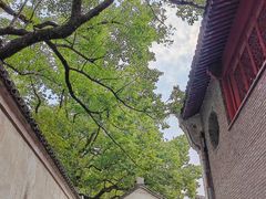 -天一阁博物院