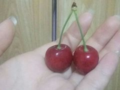 -渝之汇牛肉豌杂面