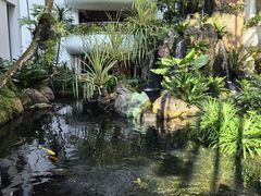 -新加坡乌节希尔顿酒店 (SG Clean)