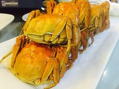 -千岛湖城中湖游船码头