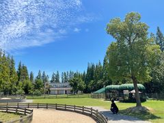 -前小桔亲子创意农场·草莓采摘·露营烧烤