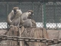 -泉州海丝野生动物世界