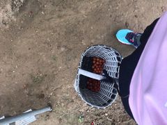 -樱桃沟景区