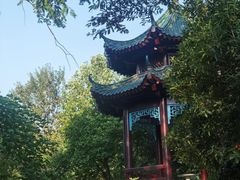-月湖风景区