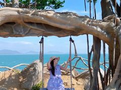 -海南分界洲岛旅游区