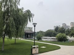 -东北农业大学饺子园