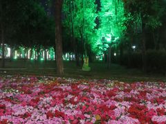-文华公园(禅城区)