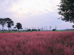 -汉长安城未央宫国家考古遗址公园