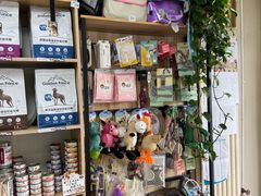 -中农大我爱我爱24h动物医院·中医针灸·猫专科·骨科医疗中心(双井店)